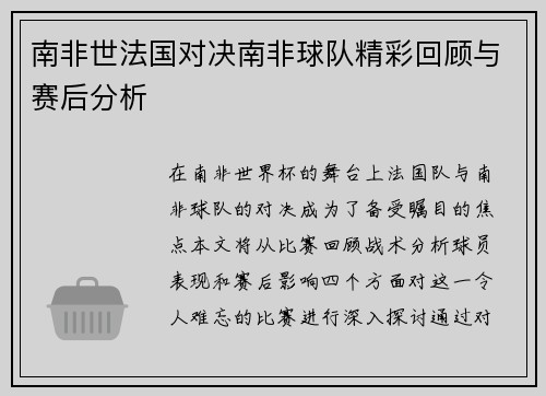 南非世法国对决南非球队精彩回顾与赛后分析